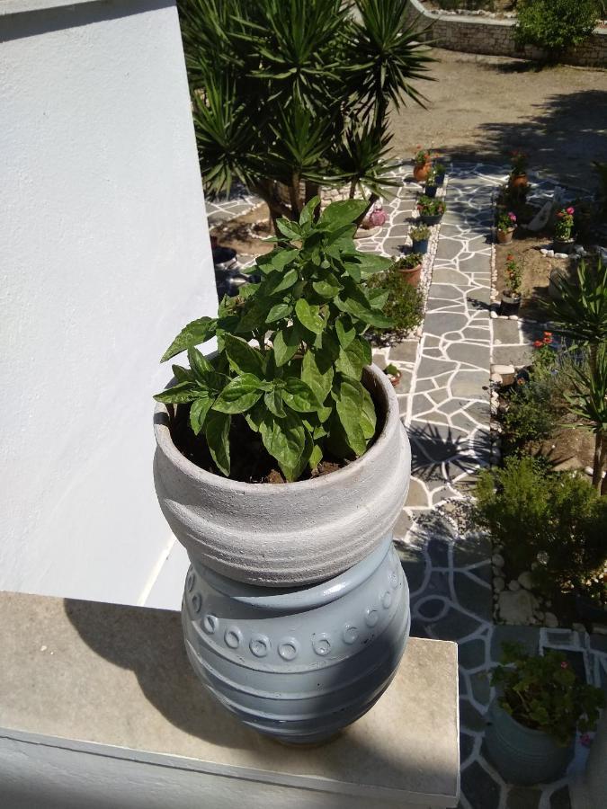 Kiki'S Apartment Veranda Dream Chrisi Akti  Zewnętrze zdjęcie